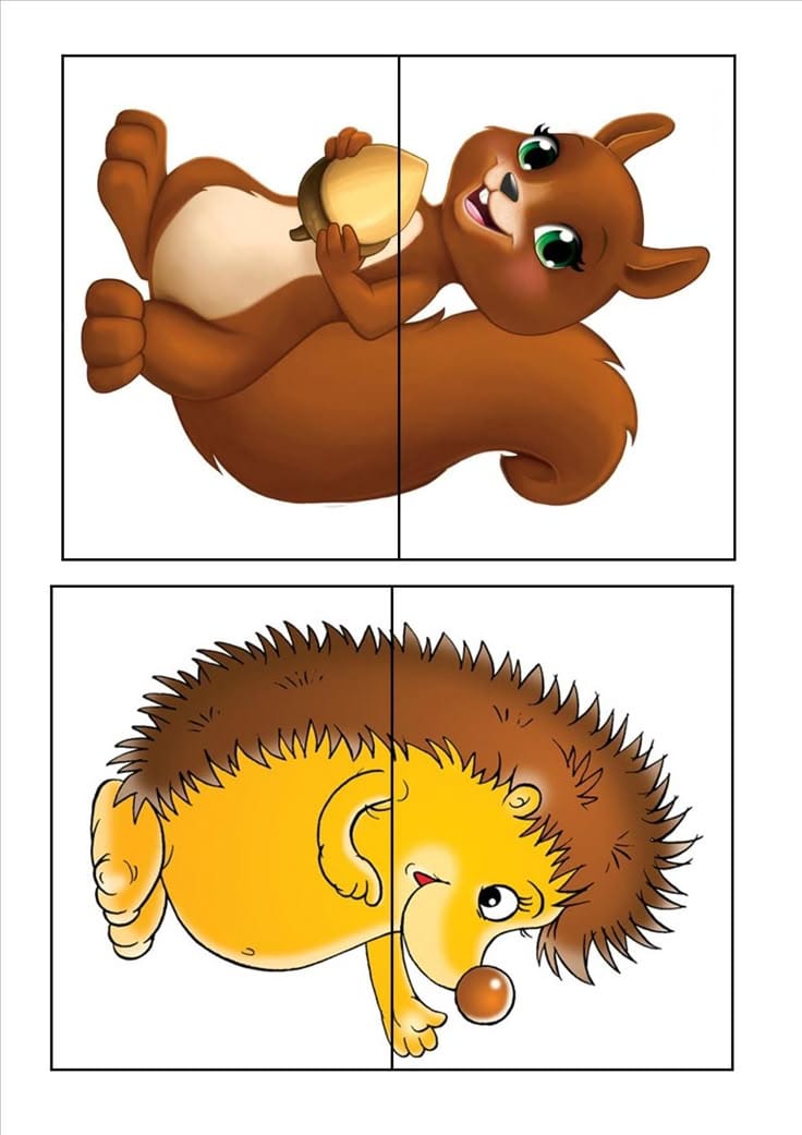 Eğitim Materyali 32