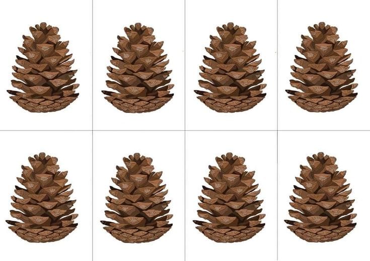 Eğitim Materyali 31