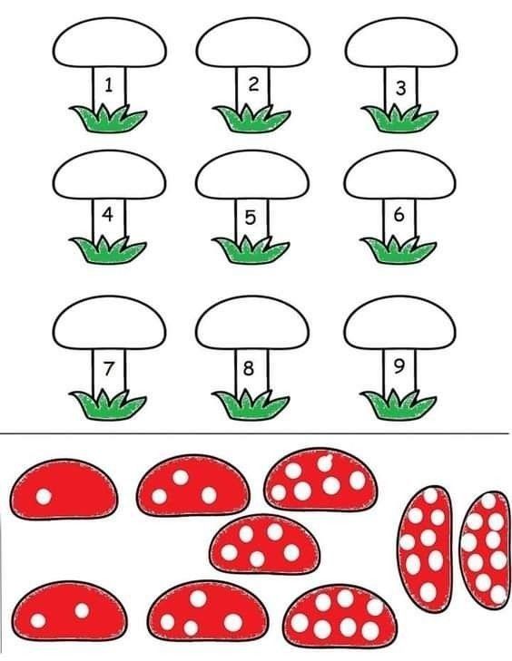 Eğitim Materyali 29