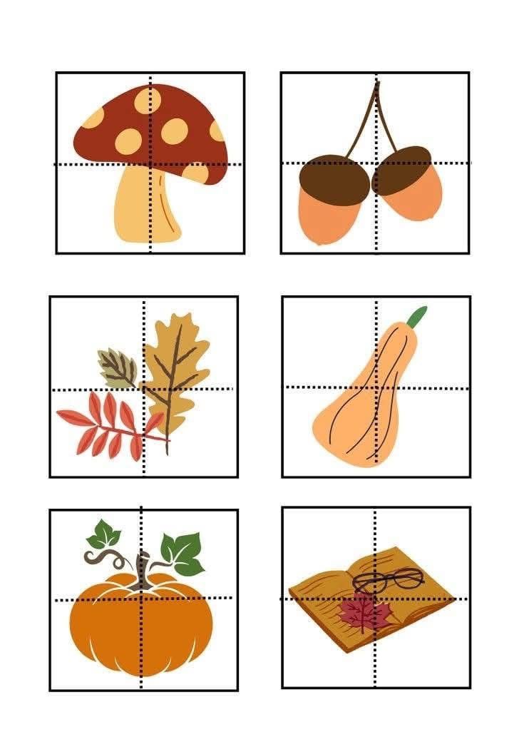 Eğitim Materyali 24