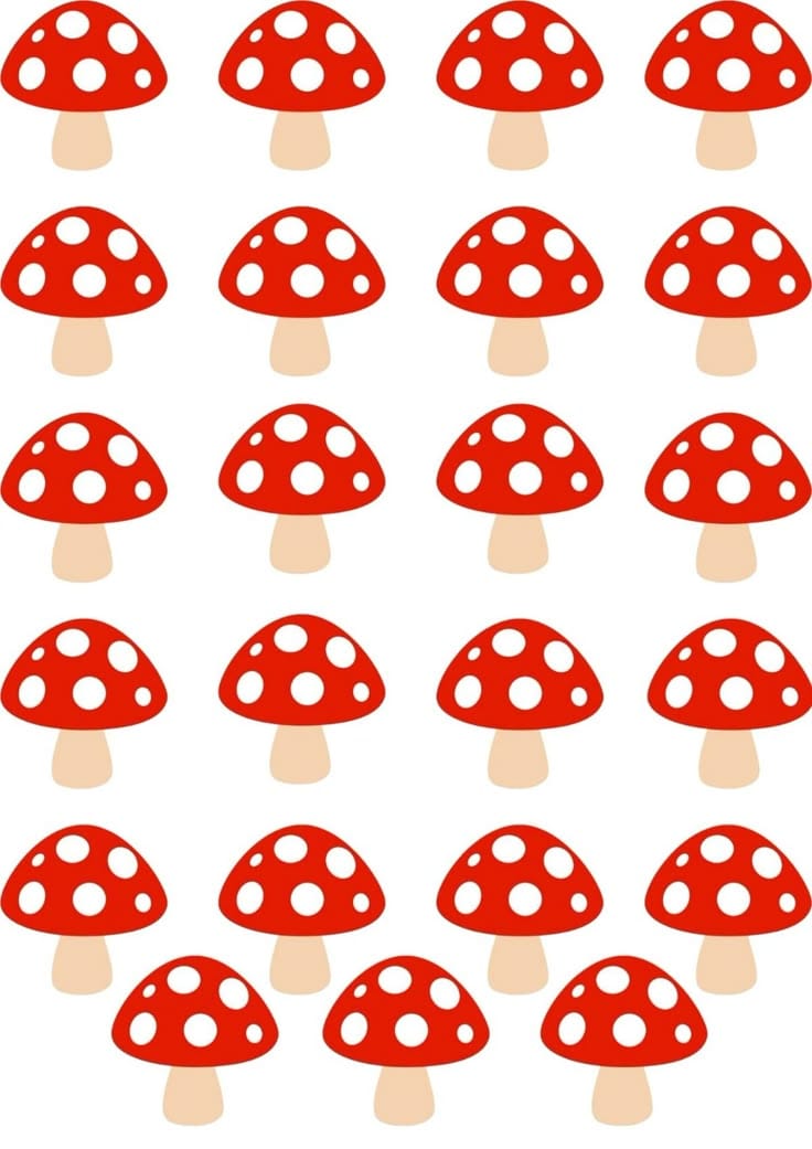 Eğitim Materyali 27